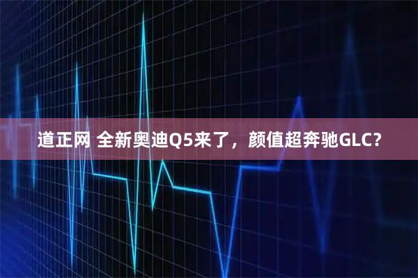道正网 全新奥迪Q5来了，颜值超奔驰GLC？