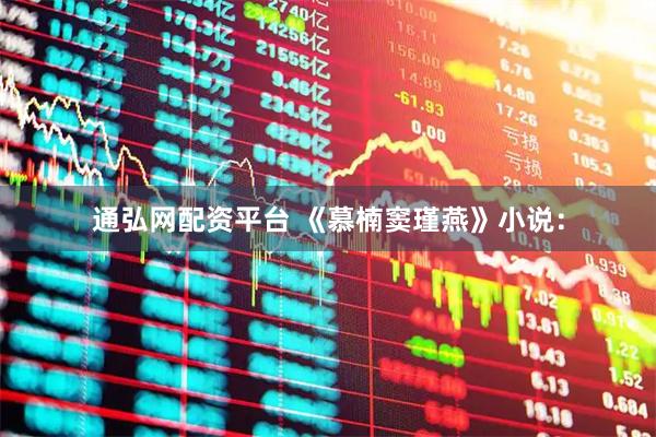 通弘网配资平台 《慕楠窦瑾燕》小说：